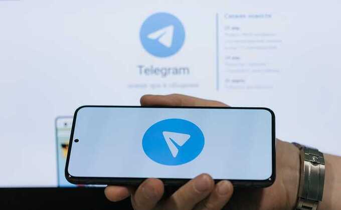 Telegram заблокировал резервные каналы вологодских СМИ