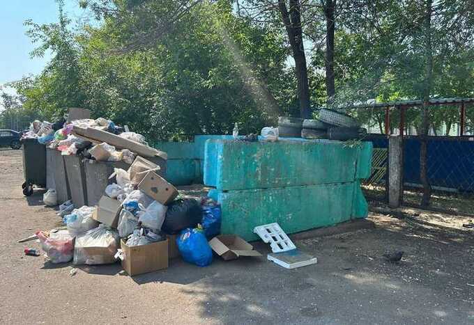 Крысы заполонили Красноярск: город страдает от мусора и нашествия грызунов