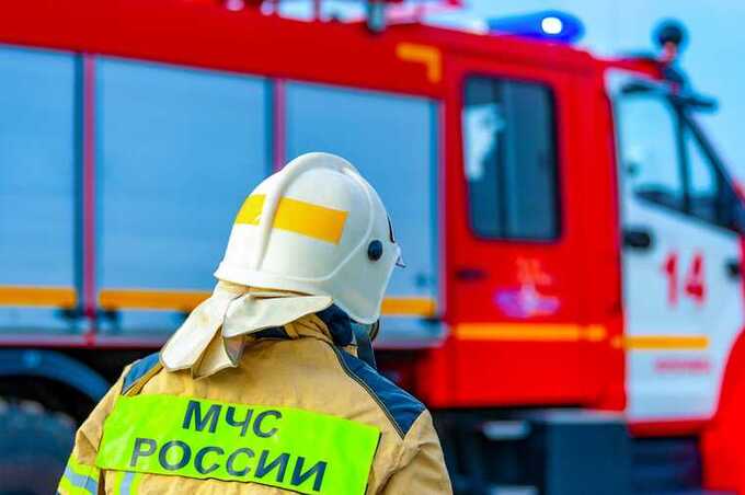 В Подмосковье из-за низких зарплат не хватает водителей МЧС