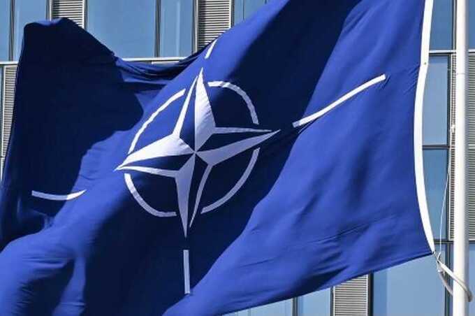 Трамп требует от стран НАТО увеличить оборонные расходы