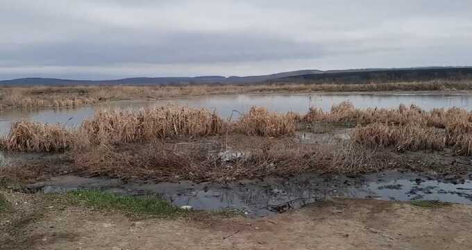 В Выдрино сливают сточные воды в Байкал — река Снежная превращается в канализационную канаву